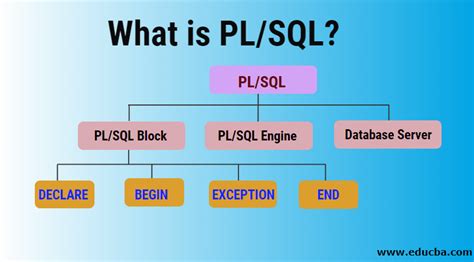 pl significato|what is pl short for.